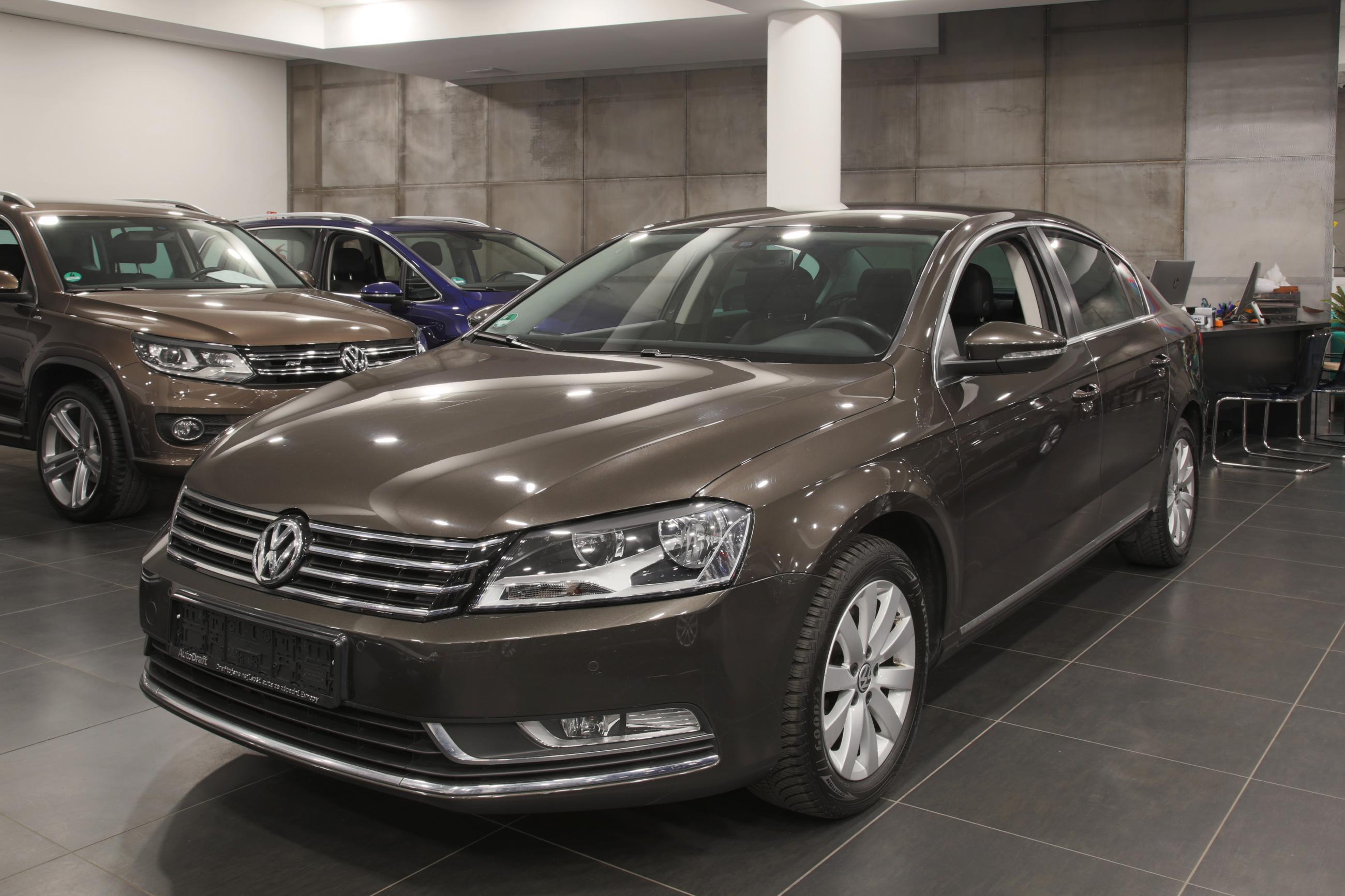 Passat lim basis