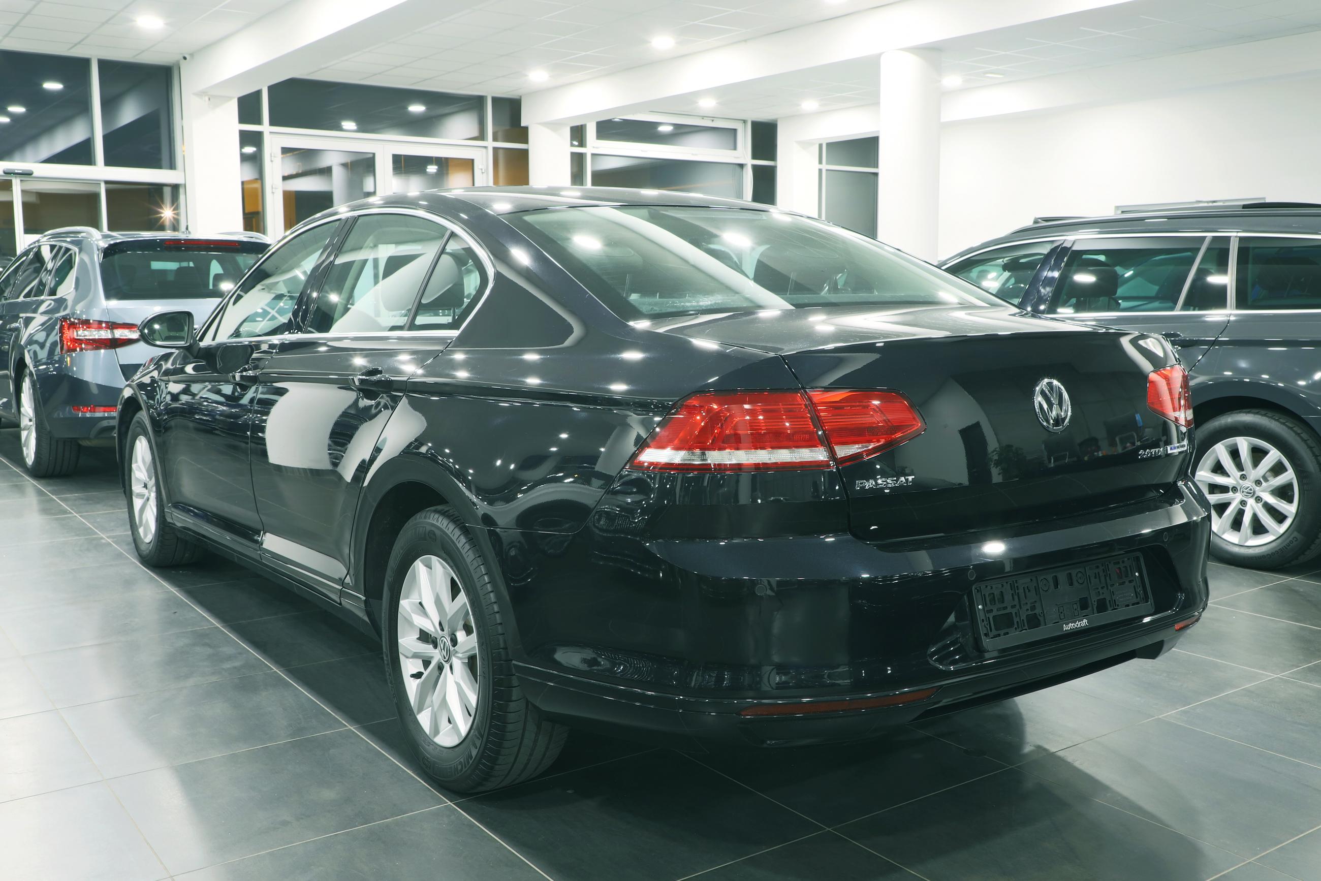 Passat lim basis