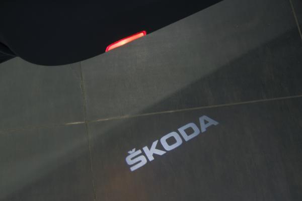 11866-img-8016-jpg-6rk4EG.jpg