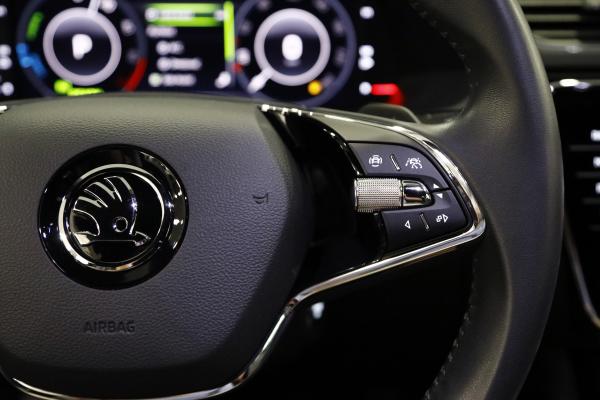 14205--mg-3695-jpg-LSqbtN.jpg
