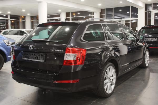 381-img-5129-jpg-7X2sUV.jpg