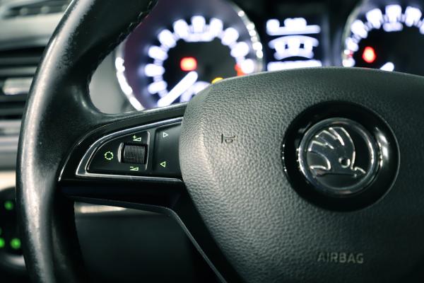 7009-img-7189-jpg-XJ8tBT.jpg