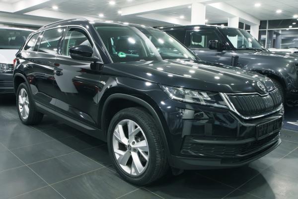 Škoda Kodiaq 4x4 2.0 TDI 140kW DSG / Webasto / ALU 19''